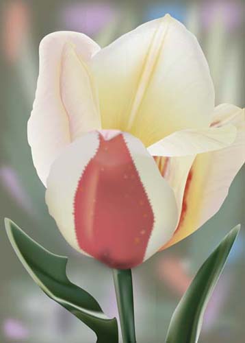 Portfolio image